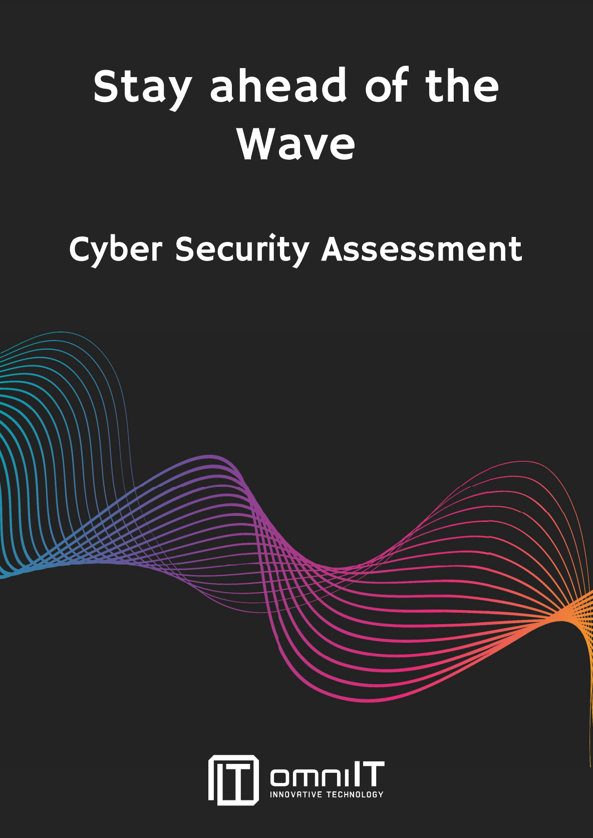 Cyber Security Assessment Cover Biblothek