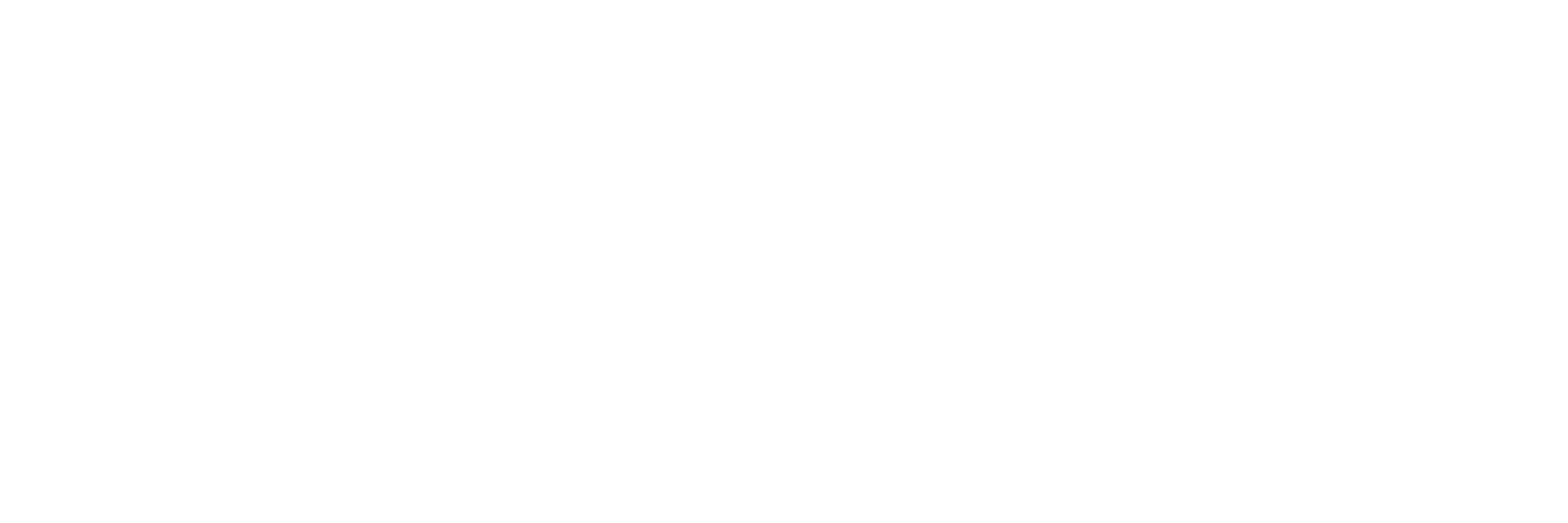 omniIT Logo White